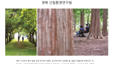 새로운 경주 여행지 맛집 갈곳 케렌시아