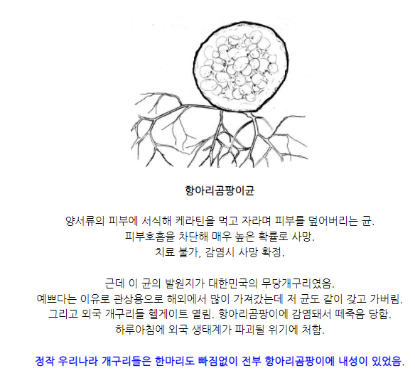 16238839ad49f9479e19d9691a8a6e2f0f1d2c84b2q3.png