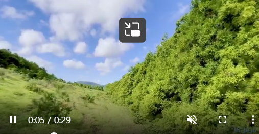 49c71449ed5ad53900d8f2019fb91914c962fa76cu4v.png