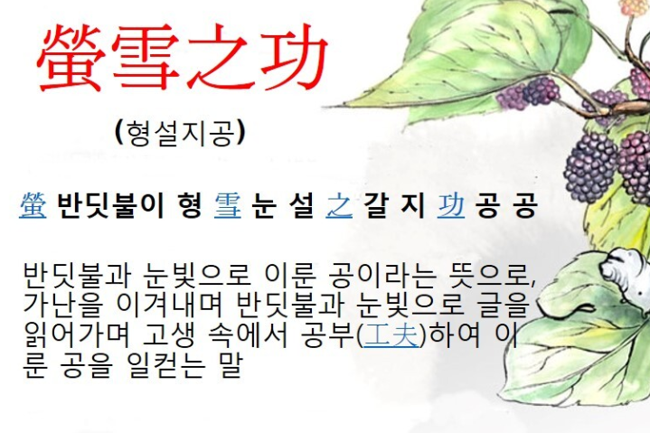bcf9f7ca6b467f0f1450f6c9e3a0fbf1cbc4e98bbm74.png