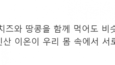 치즈와 땅콩과의 궁합