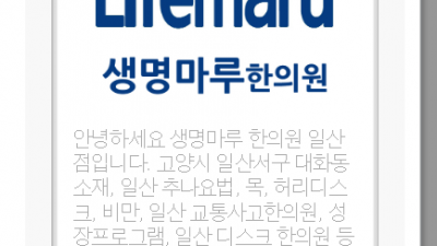 일산허리디스크한의원 생명마루한의원 일산점 대화역1번출구 이방원 원장님