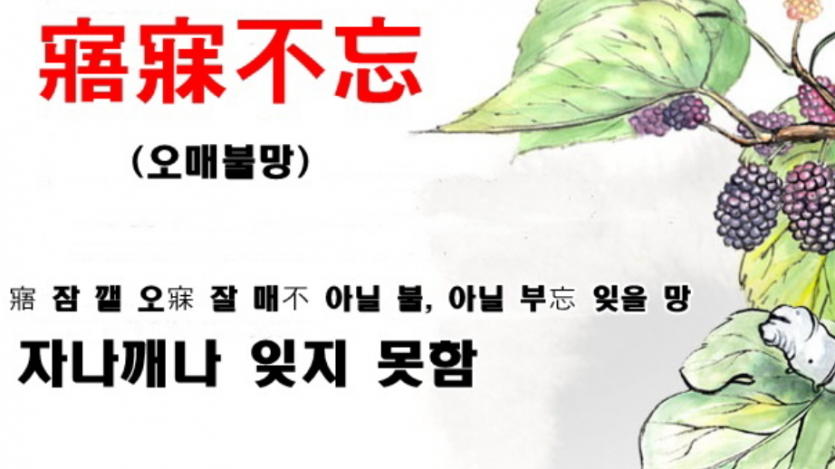 8a759e0e88fa6b45680be3119398b476b76ccd74vsgi.png