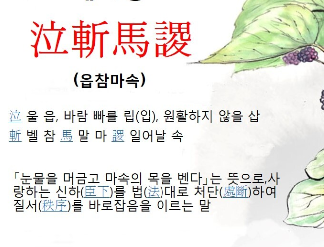 90d9e0562f7e93235763a98e96654fdae70c49e628ik.png