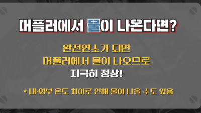자동차 배기구 승용차 머플러에서 나오는 물의 정체