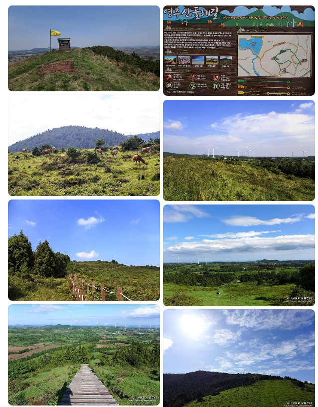 bd7d24510357f2e7f068fc305d3b3e49d1fd7957b7vd.png