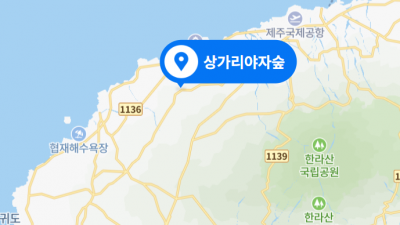 제주도 못가고와서 아쉬웠던 곳