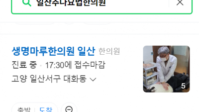 일산추나요법한의원 대화동 생명마루한의원 일산점 교통사고
