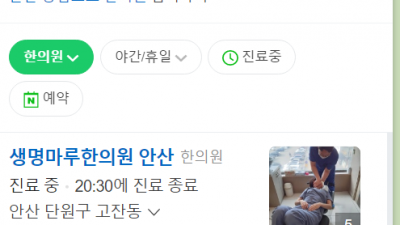 안산한의원 실비보험 추나요법 교통사고 생명마루한의원 안산점