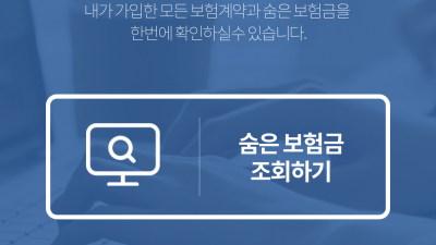 손해보험 (실비보험 실손보험) 확인방법 (모바일용) - 카톡가능