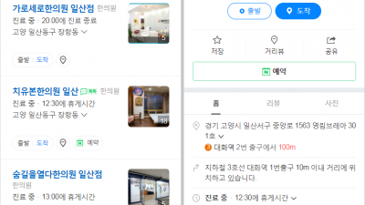고관절통증,  골반교정, 은 일산추나요법한의원 생명마루한의원 일산점, 구 장수한의원 에서 하세요