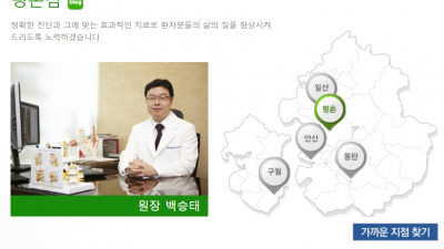 평촌한의원 추나요법 생명마루한의원 교통사고한의원