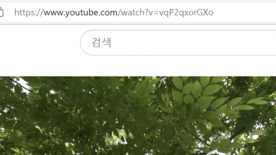 유튜브 다운로드 방법 savefrom.net ss를 갖다 붙이자