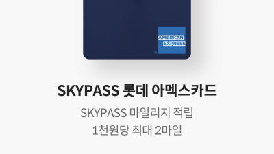 국세 세금 납부 항공 마일리지 적립 카드