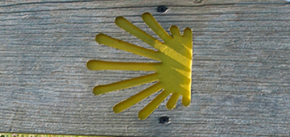 8dc178792c394581684e9d838b727ee29274a7b96op3.png