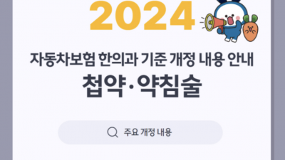 2024년 달라지는 자동차보험 , 한의 치료