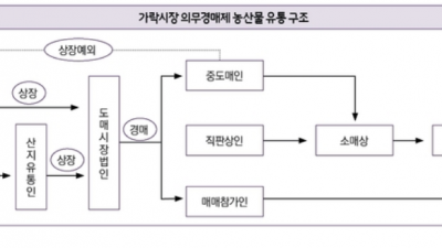 5대 청과 도매법인의 독과점, 대기업 지분, 복잡한 유통구조