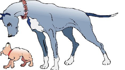 언더독 효과 알아봅니다. under-dog effect