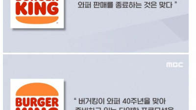 Re: 버거킹 대표 메뉴 와퍼 단종설을 알아봅시다