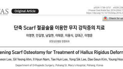 무지 강직증 Hallux Rigidus