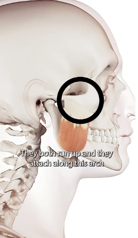 0f4744ee4ca5cc7cba7b88c1ac73487bfadc05d5re52.png
