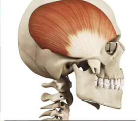 f5b321785600608f7f61d5f3908640d27985683doaiw.png