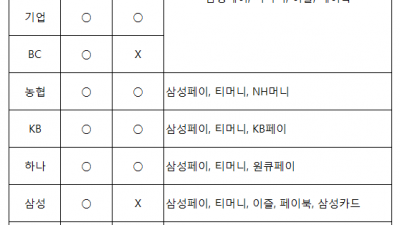 K패스 - 경기 패스 체크카드를 삼성페이 삼성월렛에 등록할때 유의해야 할 점   기후동행카드 신용카드