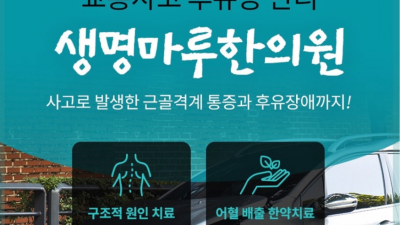 교통사고 후유증은 내과적 증후까지 함께 잡아야 합니다 일산 교통사고 한의원 교통사고 후유증 치료 생명마루 한의원