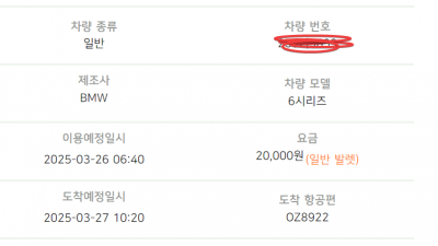 3월 제주 일정 체크 : 김포발렛파킹 렌터카 개화상태 제주도 녹산로 가시리 전농로