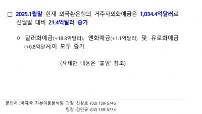 국내 보유한 엔화, 특히 엔화 예금의 2025년 추이는 어떠할까 알아봅니다.