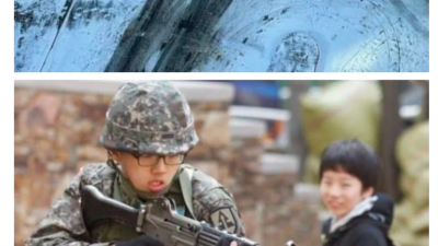k퓰리처상, 한국판 퓰리쳐상 역대 후보들