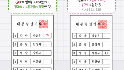 2025대선 이렇게 하면 무효표가 됩니다