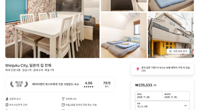 도쿄 11월 28,29,30 여행 예시