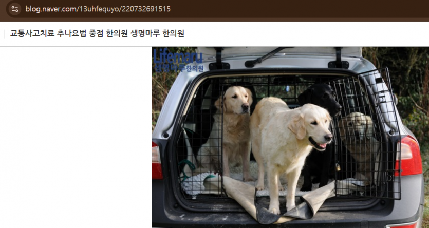 356c04dbbdd88e031f390370786d98c32964b88c3fbp.png