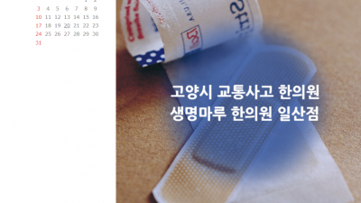 고양시 교통사고 한의원 어디로 가야할까?