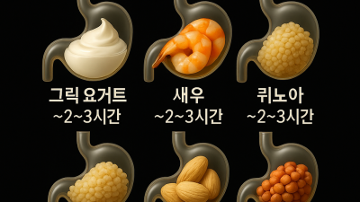 음식별 소화 시간, 위 건강을 지키는 식습관