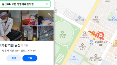 운전할 때, 안전벨트 꼭 하시죠?  [일산 교통사고 한의원]