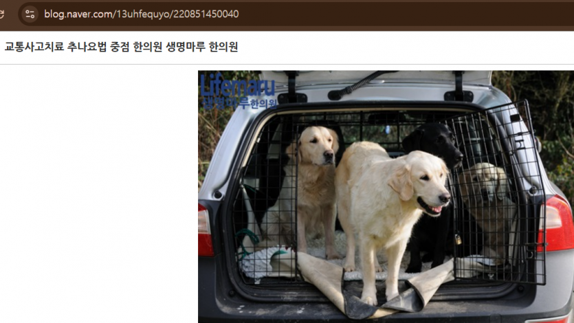 a3013410284e02c6a56527c66bf52c56b3054badwlmt.png