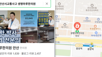 안산 중앙동에 교통사고 치료하는 병원 있나요?  [안산 교통사고 한의원]