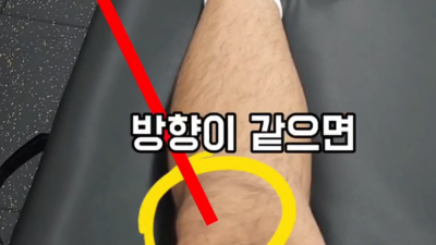 다리의 회전, 고관절의 회전,  정강이의 회전