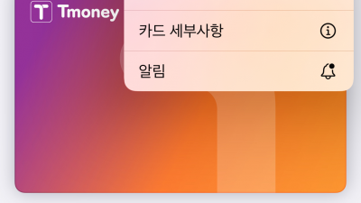 애플 페이 교통카드 + 경기 패스 등록 방법 기 발급된 애플페이 티머니 설정