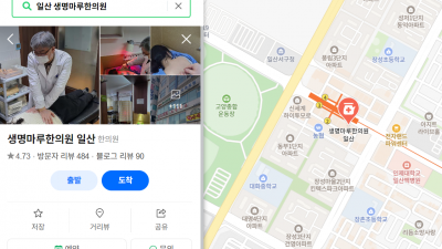 교통사고 후유증 치료인데 왜 한약을 먹어야하나요?  [일산 교통사고 한의원]