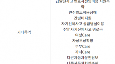 요즘 보험사 관련 트렌드가 운전자보험, 변호사비가 대거 줄어든다고 해서